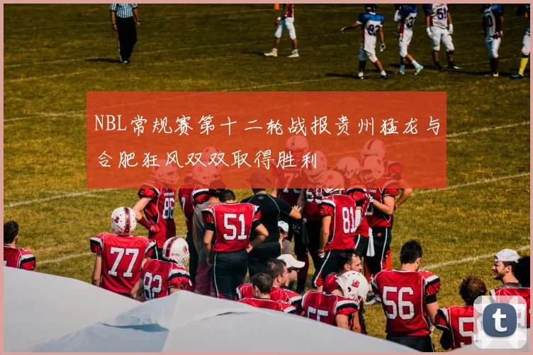 NBL常规赛第十二轮战报贵州猛龙与合肥狂风双双取得胜利